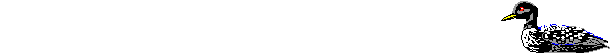 오리떼.gif