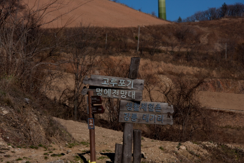 꾸미기_꾸미기_AIMG_4789.jpg