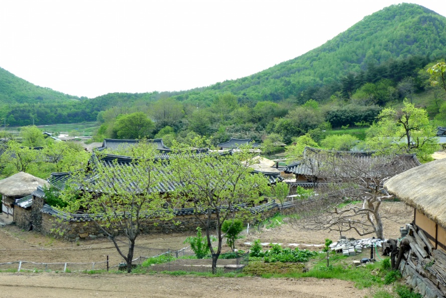 왕곡마을.jpg