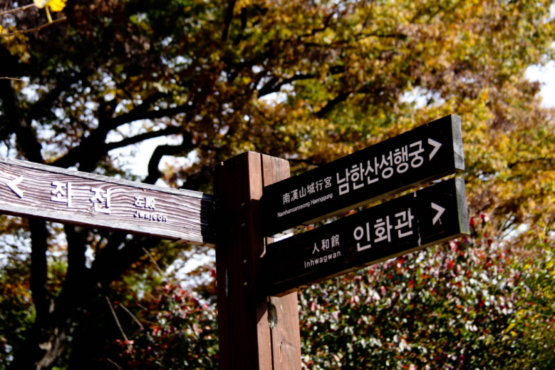 [꾸미기][꾸미기]IMG_6736.jpg