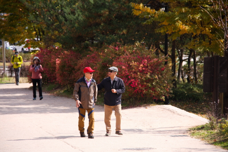 [꾸미기][꾸미기]IMG_6727.jpg