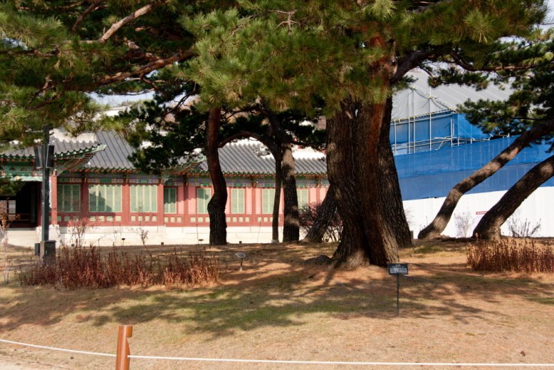 [꾸미기][꾸미기]IMG_8739.jpg
