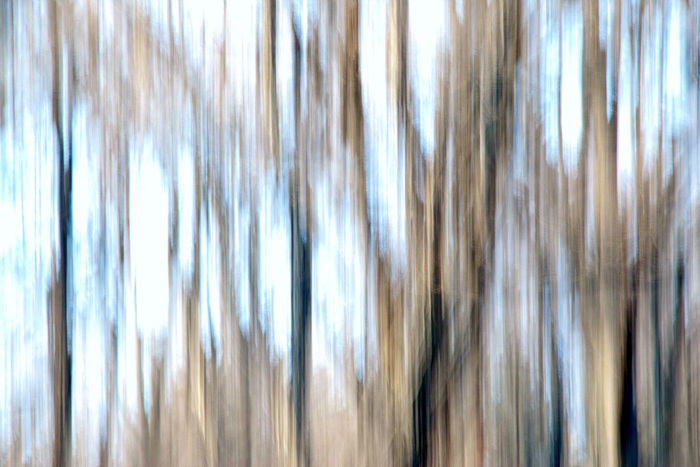 DSC_8603.jpg