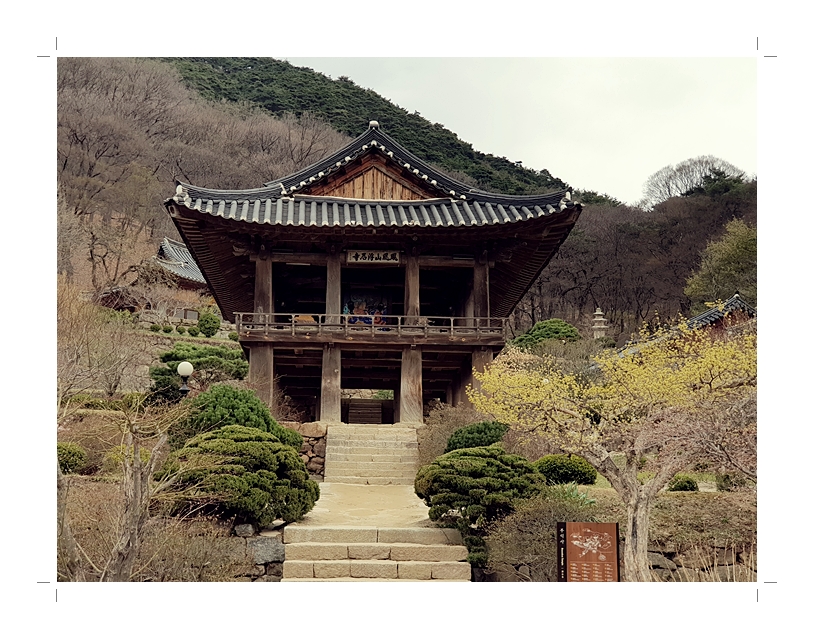 부석3편집2018년4월8일부석사2 (1) (55)2018년4월11.jpg
