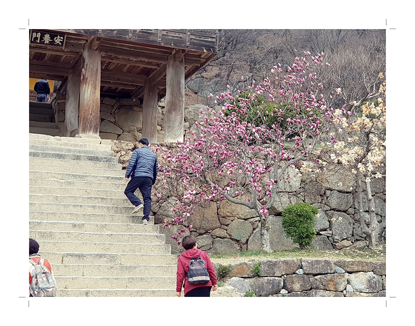 부석2편집2018년4월8일부석사3 (1) (56).jpg