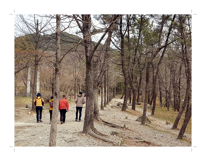 부석2편집2018년4월8일부석사4 (1) (36).jpg