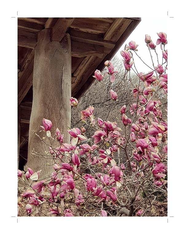 부석2편집2018년4월8일부석사3 (1) (49).jpg
