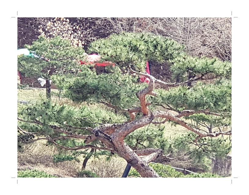 부석1편집2018년4월8일부석사5.jpg