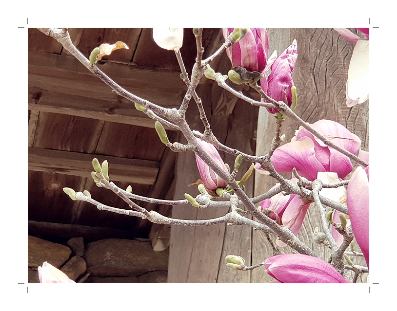부석2편집2018년4월8일부석사4 (1) (11).jpg