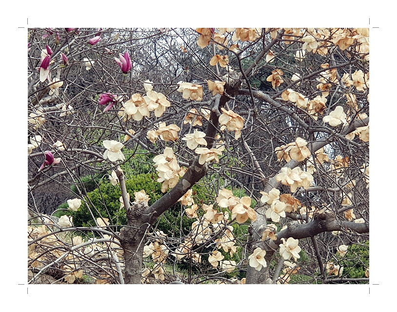 부석2편집2018년4월8일부석사3 (1) (51).jpg