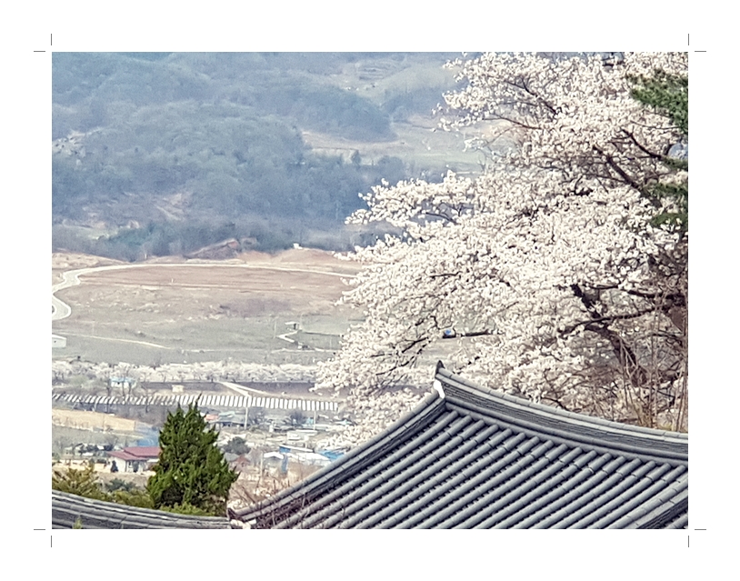 부석3편집2018년4월8일부석사2 (1) (6)2018년4월11.jpg