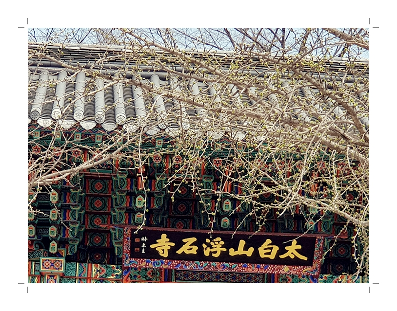 부석1편집2018년4월8일부석사4 (1) (67).jpg