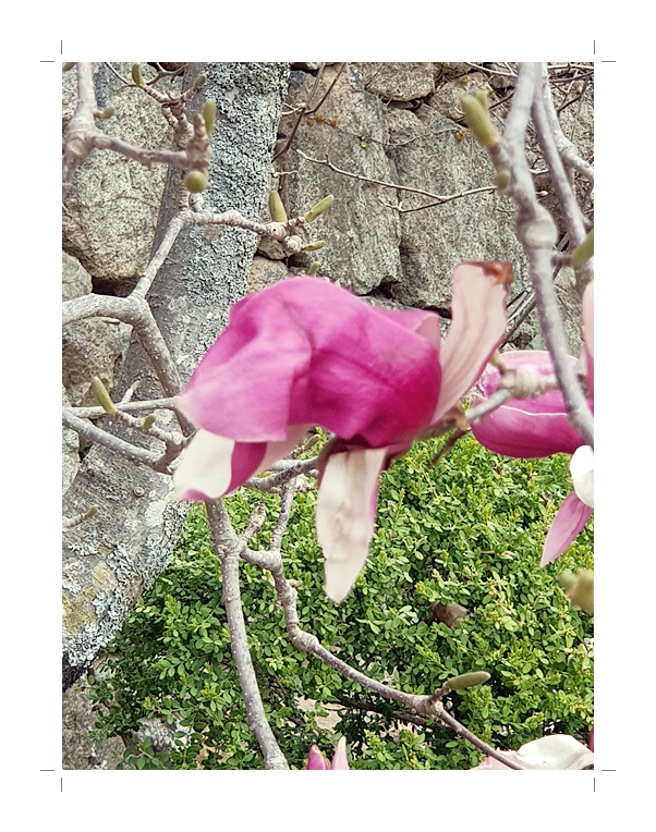 부석2편집2018년4월8일부석사3 (1) (48).jpg