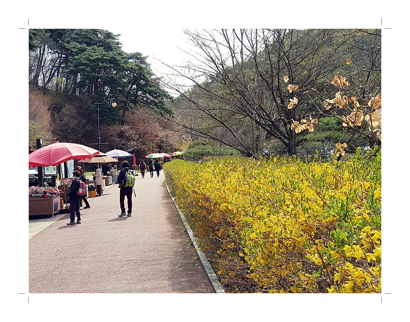 부석1편집20180408_110526.jpg
