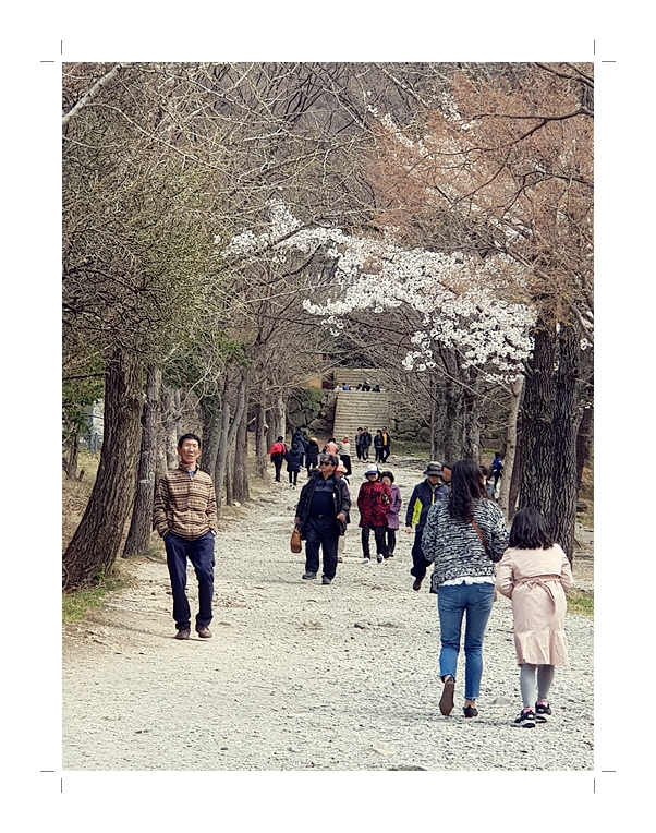 부석2편집2018년4월8일부석사4 (1) (41).jpg