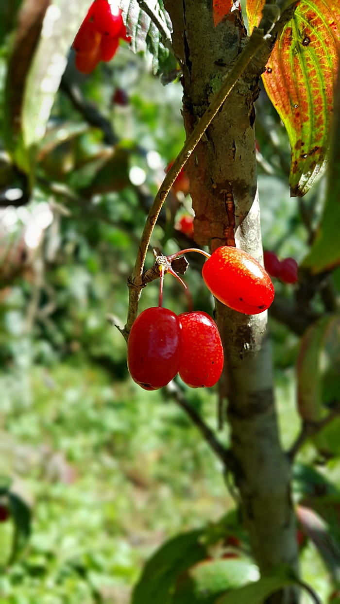 20161009_115521.jpg