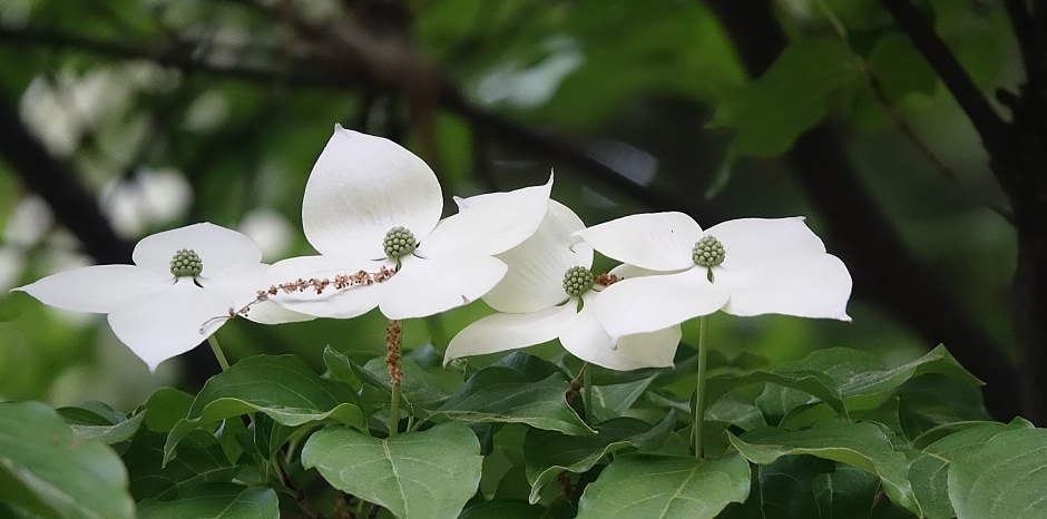 대 028.JPG