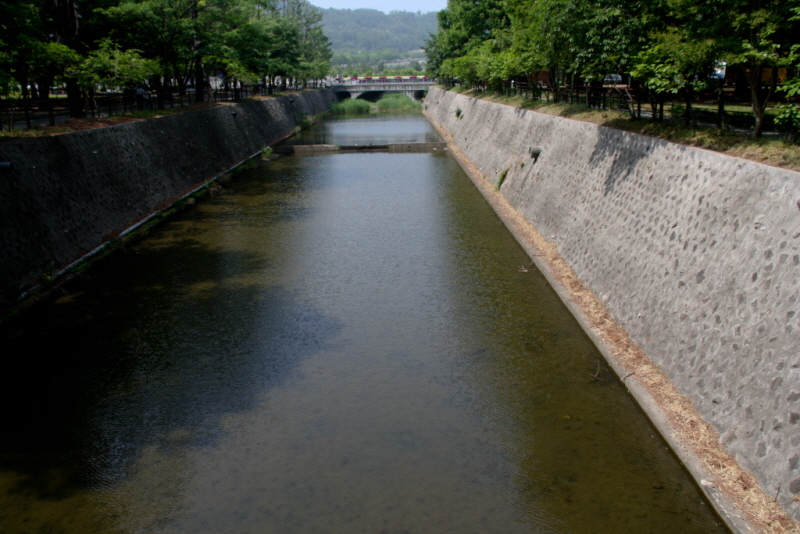 꾸미기_꾸미기_AIMG_1574.jpg