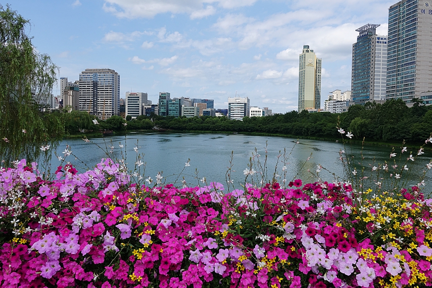 석 05.JPG