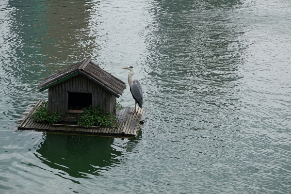 석 020.JPG