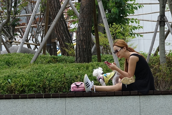 석 03.JPG