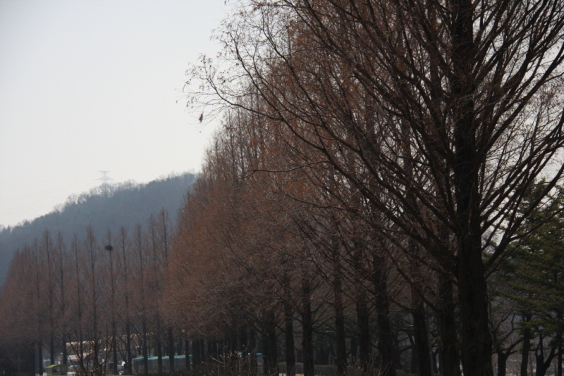 꾸미기_꾸미기_IMG_9653.JPG