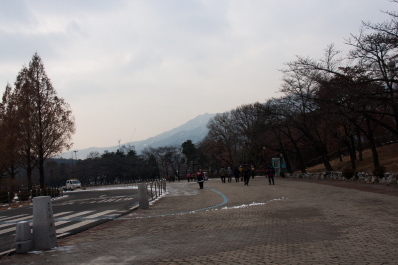 꾸미기_꾸미기_AIMG_8431.jpg