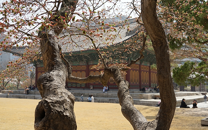 덕 026.JPG