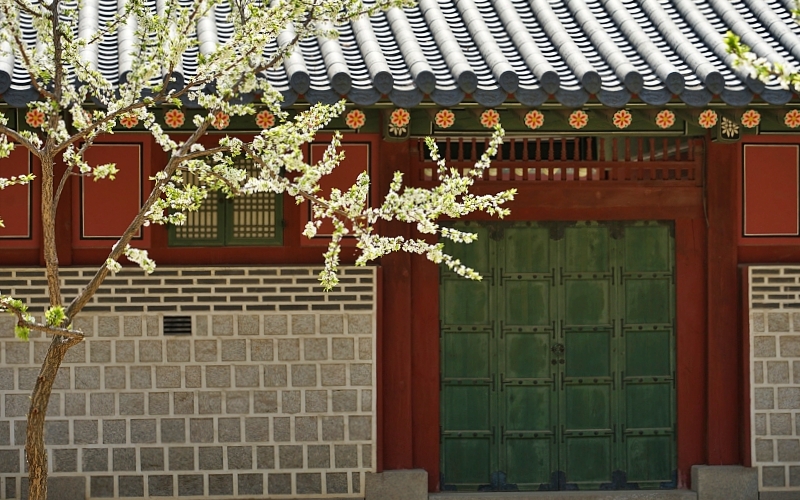 덕 046.JPG