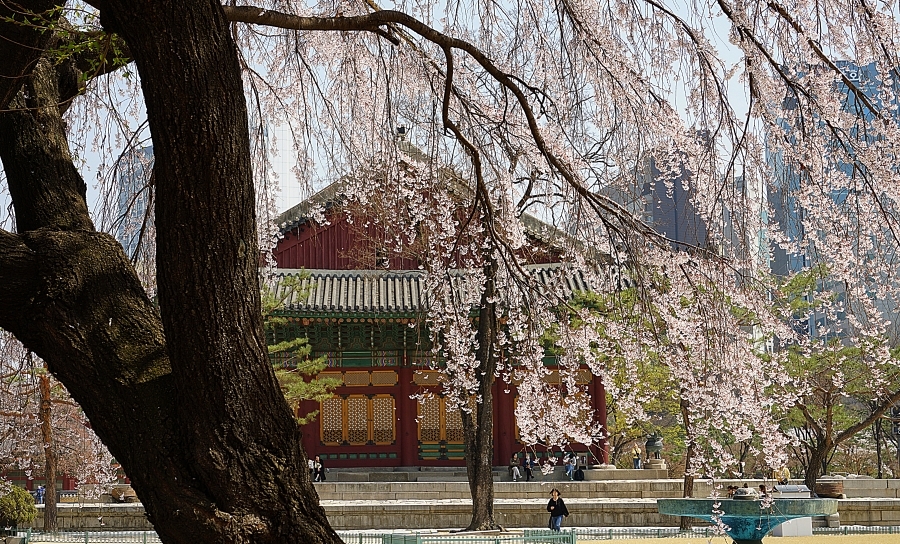 덕 039.JPG