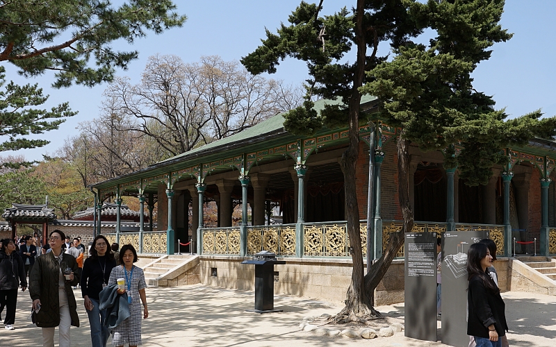 DSC08058.JPG