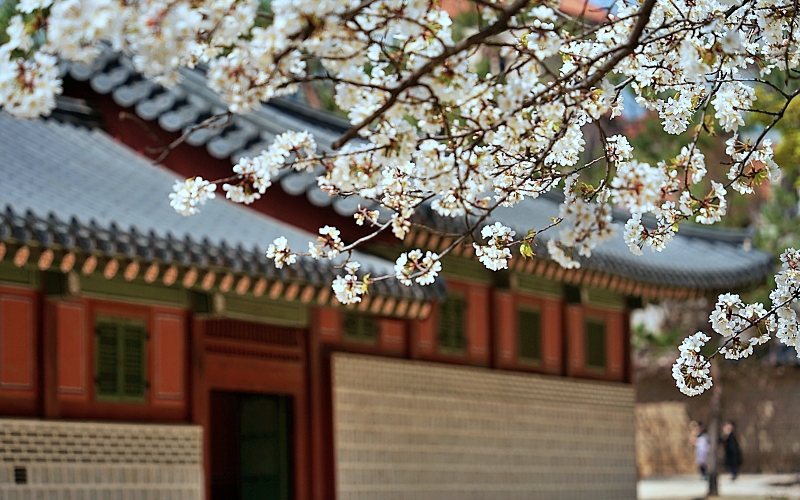 덕 053.JPG