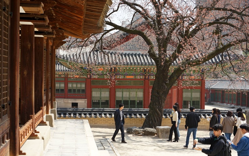 덕 018.JPG