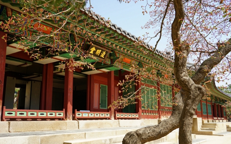 덕 029.JPG
