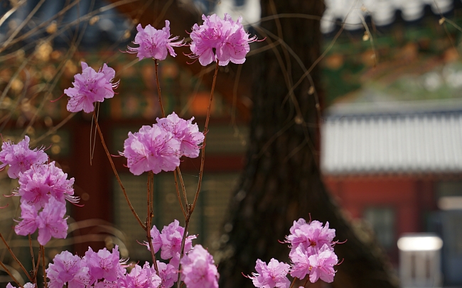 덕 045.JPG