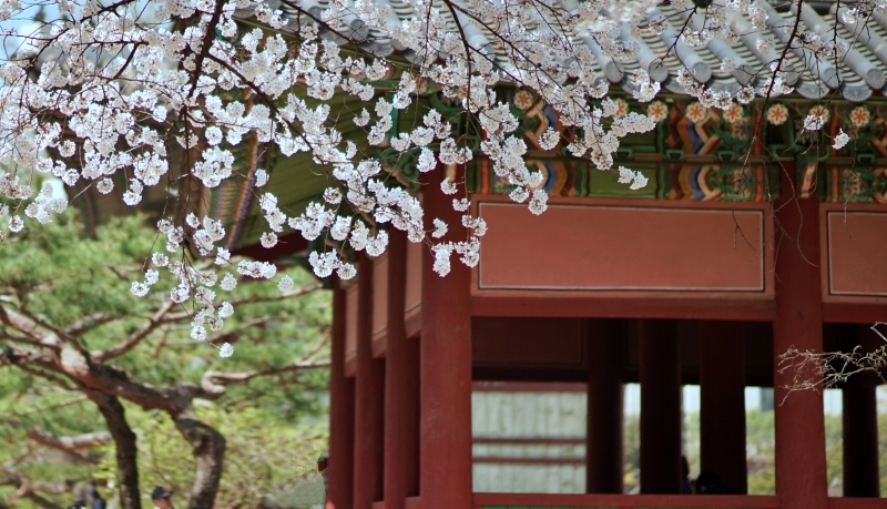 덕 05 0.JPG