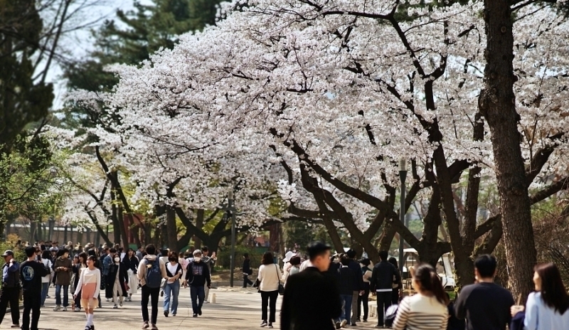 덕 097 01.JPG