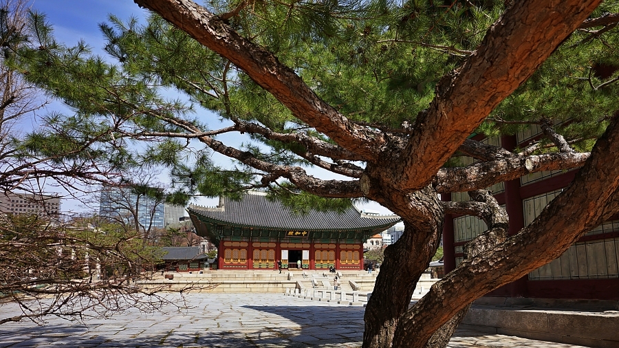 덕 030.JPG
