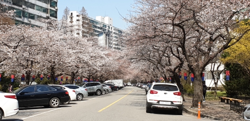 20190404_112557A.jpg