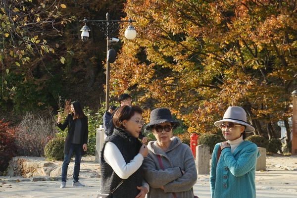 DSC02494.JPG