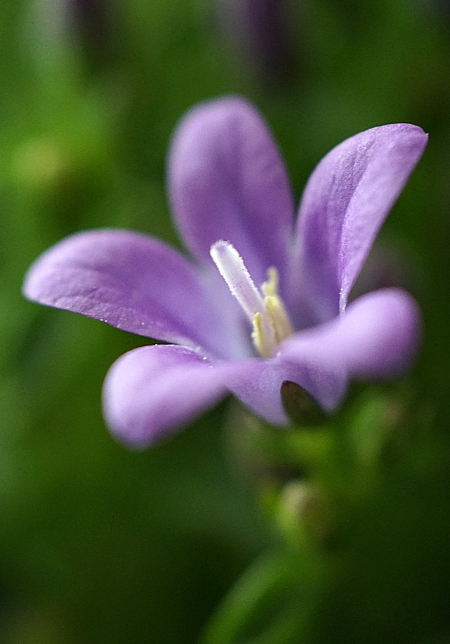 DSC05081.JPG