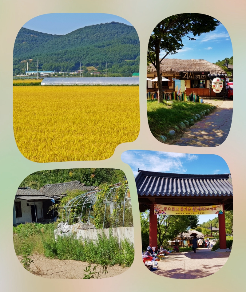 collage-2 하회마을.jpg