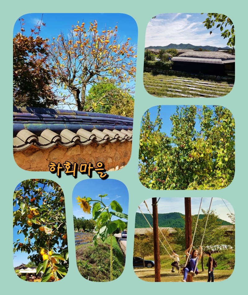 collage-11 하회마을.jpg