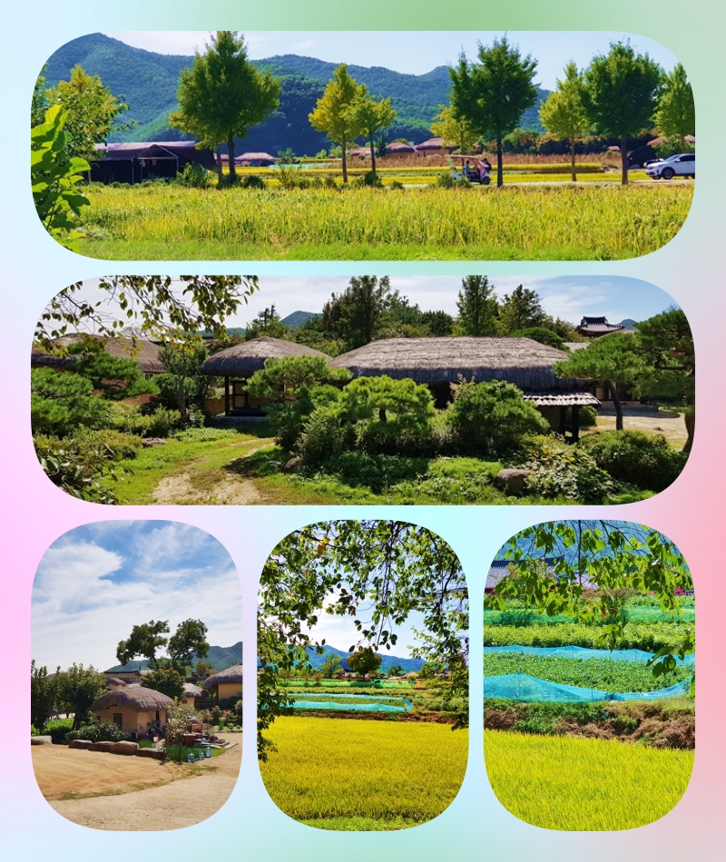 collage-9 하회마을.jpg