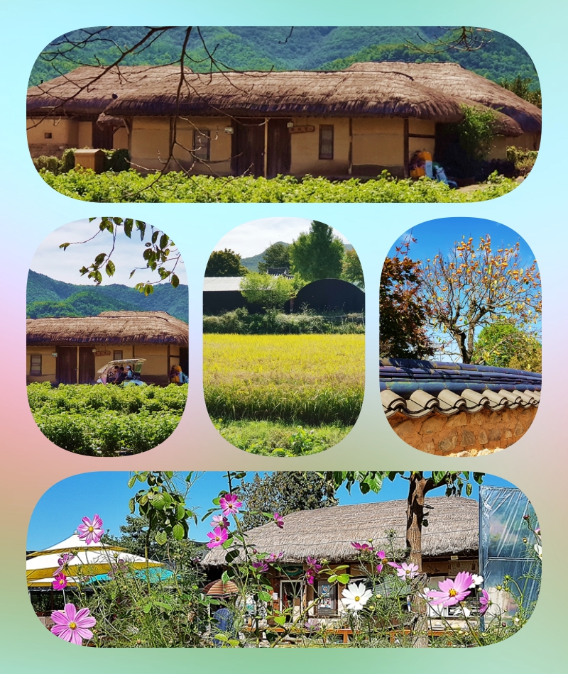 collage-12 하회마을.jpg