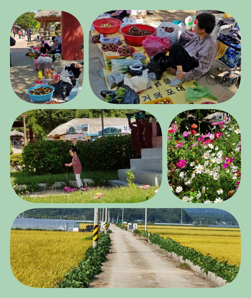 collage-7하회마을.jpg