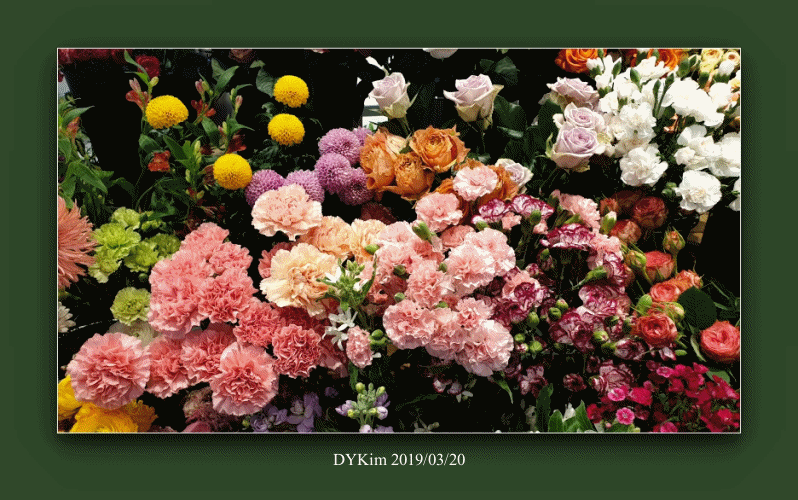 봄처녀20190320.gif