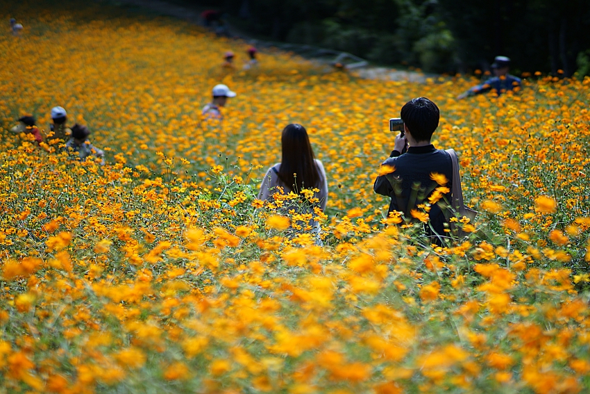 올 025.JPG
