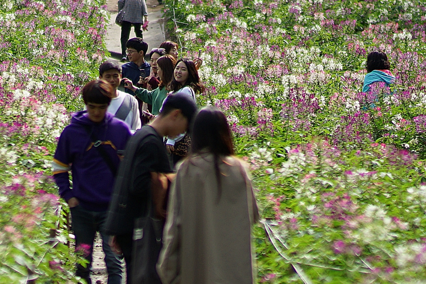 올 045.JPG