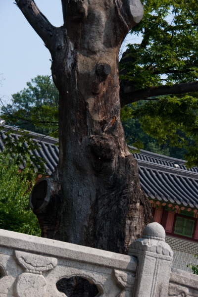 꾸미기_꾸미기_AIMG_4663.jpg